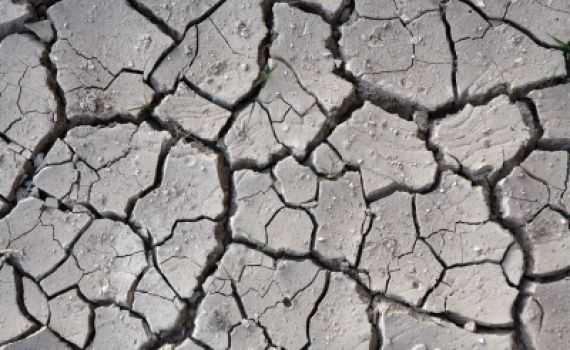 הרב שרלו: מה ניתן לעשות בעולם הרוחני מול הבצורת?