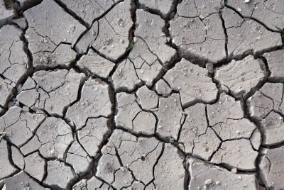 הרב שרלו: מה ניתן לעשות בעולם הרוחני מול הבצורת?