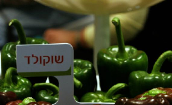 חיים ולדומירסקי: חוק שימור המסה חלק ב'