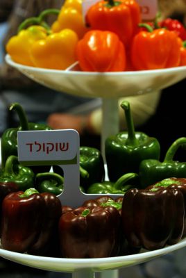 חיים ולדומירסקי: חוק שימור המסה חלק ב'