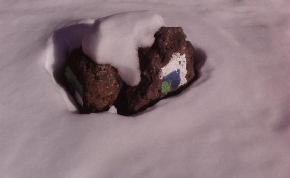 אחרי הסופה: תמונות מהחרמון המושלג והלבן