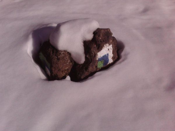 אחרי הסופה: תמונות מהחרמון המושלג והלבן