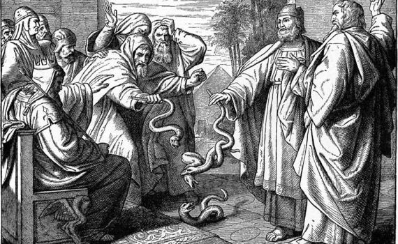 פרשת וארא: כיצד צריכה להראות ההסברה ישראלית