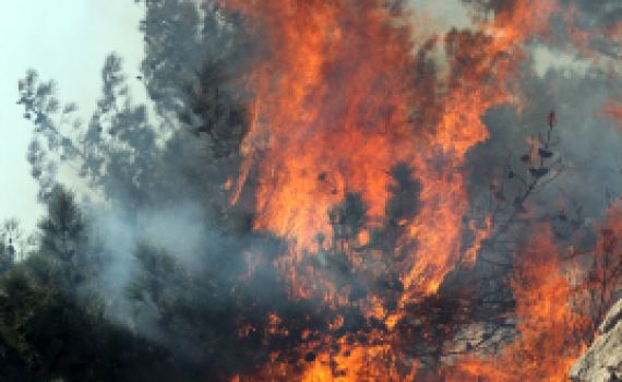 למעלה מ-40 הרוגים בשריפה הקטלנית בכרמל