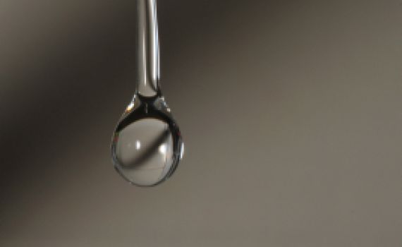 מס בצורת? קבלו טיפים איך תוכלו לחסוך כסף (ומים)