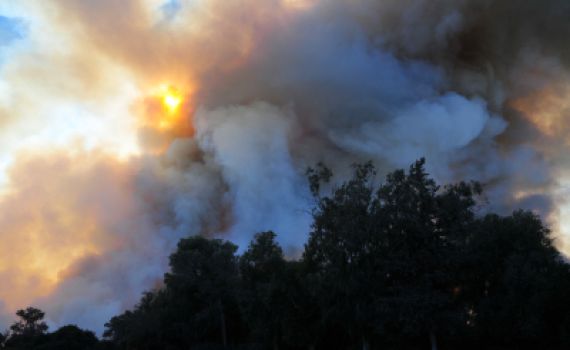 השריפה בכרמל נבלמה, אבל ייקח זמן עד לכיבויה