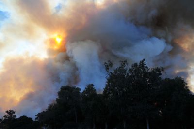 השריפה בכרמל נבלמה, אבל ייקח זמן עד לכיבויה