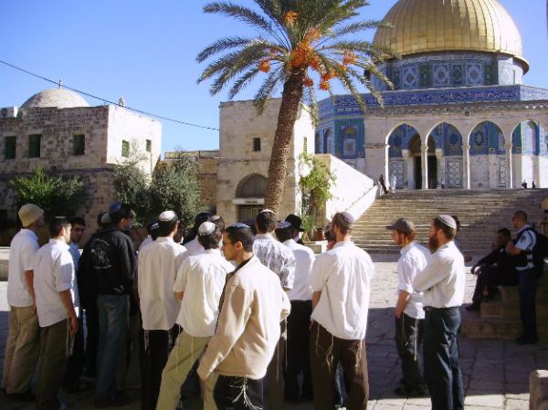 הערבים בלחץ: הוכפל מספר היהודים העולים להר הבית