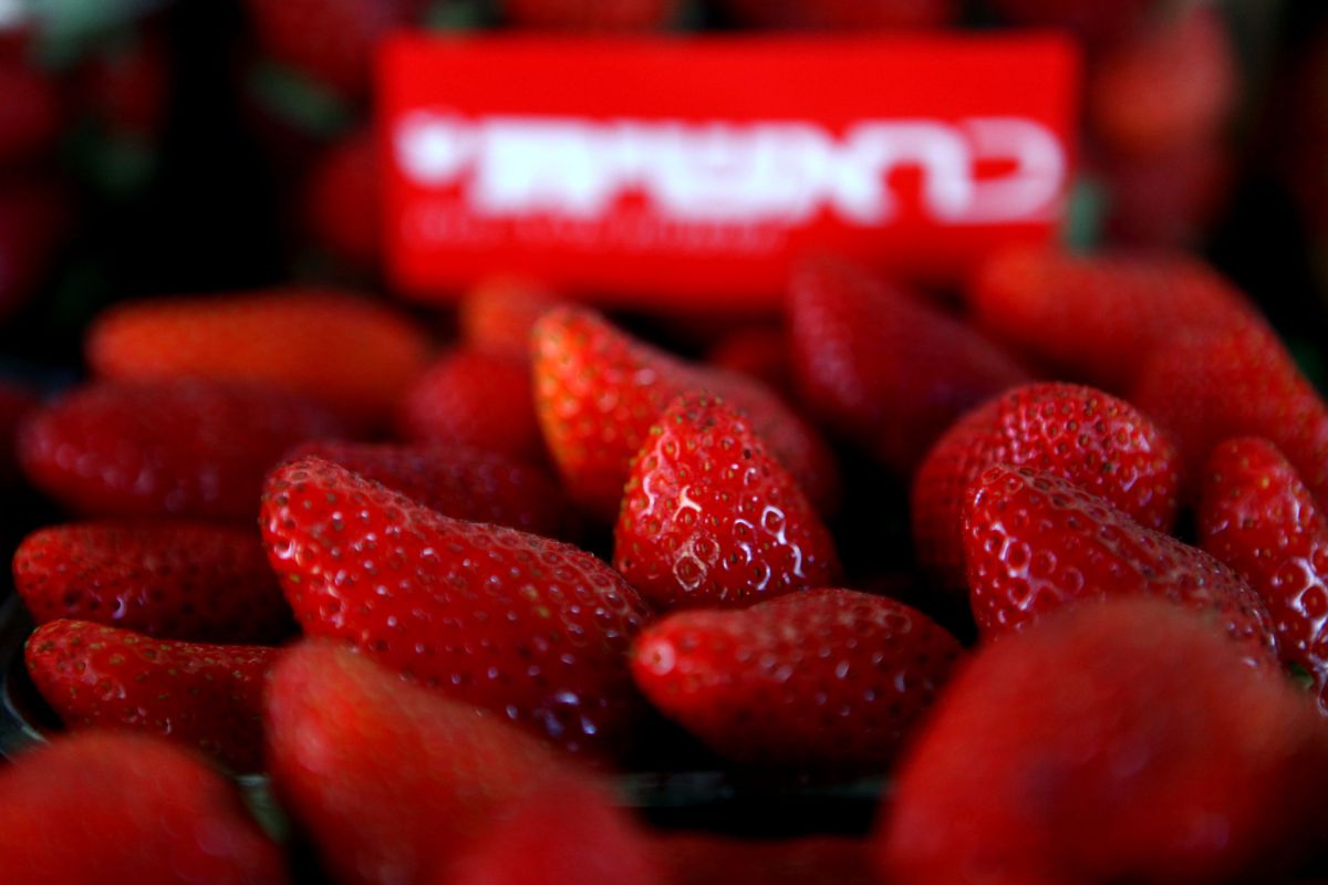 הרב ליאור על מסיבת אמֵנים: "לא יודע מאיפה זה הגיע"