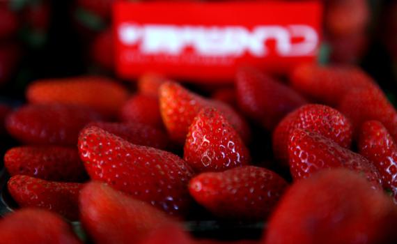 הרב ליאור על מסיבת אמֵנים: "לא יודע מאיפה זה הגיע"