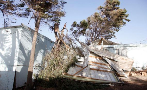 נס גדול היה ביצהר: עצים נפלו על ת"ת אין נפגעים