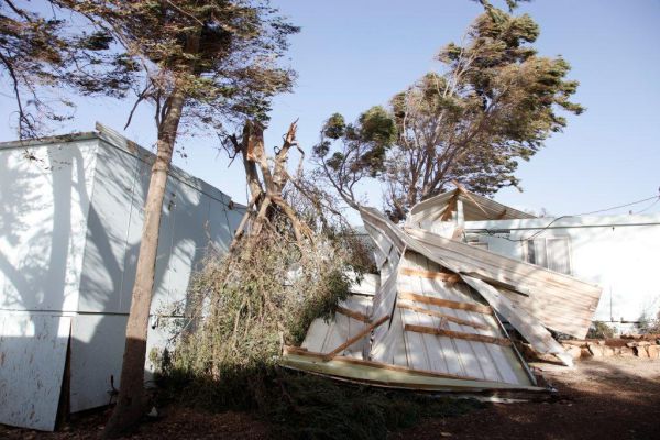 נס גדול היה ביצהר: עצים נפלו על ת"ת אין נפגעים