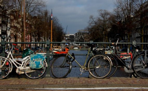 בכיר הולנדי: יהודים דתיים, יצטרכו לעזוב את המדינה