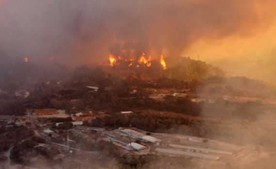דעה: בשריפה התנהגה התקשורת כמו ילדה מתבגרת