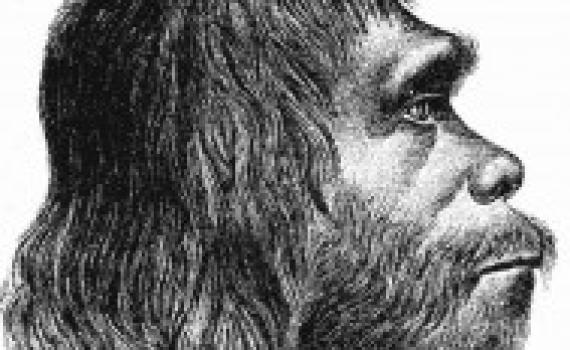 האם מוצאו של  האדם הקדמון הוא מראש העין?