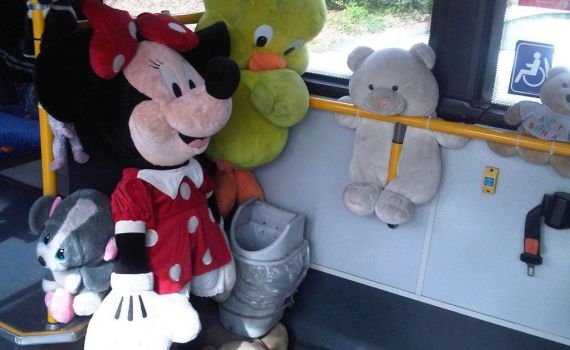 תמונות כמו בחו"ל: אוטובוס לא שגרתי