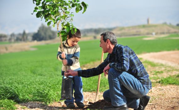 מחר: תושבי גוש קטיף יטעו עצים ביער כיסופים