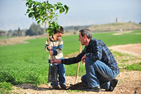 מחר: תושבי גוש קטיף יטעו עצים ביער כיסופים