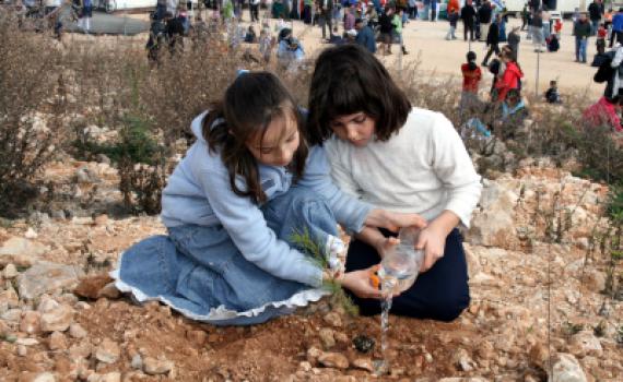 על מה ולמה חוגגים את ט"ו בשבט
