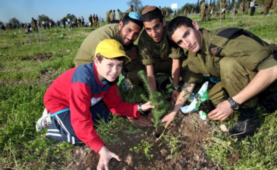 קק"ל מזמינה אתכם לחגיגה: עץ לכל תושב