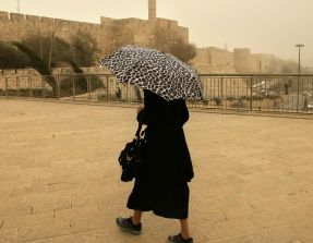 גשמי ברכה: מפלס הכנרת עלה ב-3 ס"מ