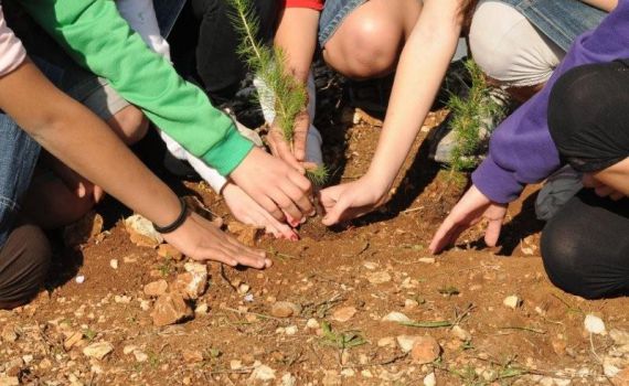 תמונות: נטיעות בבני עקיבא "צובעים את הארץ בירוק"
