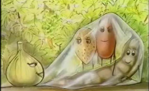 הסיפור של ט"ו בשבט – מעשה בשקיק