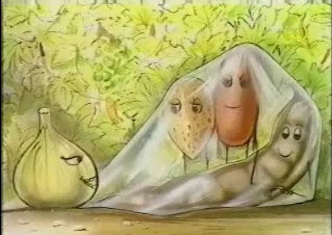 הסיפור של ט"ו בשבט – מעשה בשקיק