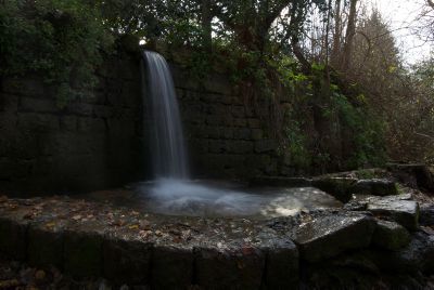 גלריית תמונות מזרימת המים בבניאס