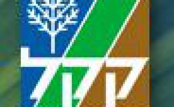 ברוואבי מחרימים גם את העצים של הקרן הקיימת לישראל