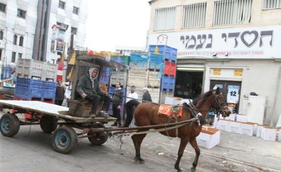 הדלק יקר מדי, ב'חסדי נעמי' חזרו לסוס ועגלה