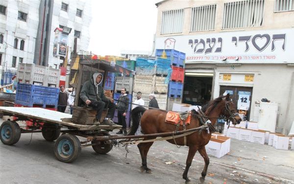 הדלק יקר מדי, ב'חסדי נעמי' חזרו לסוס ועגלה