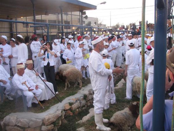 בקרוב אצלנו: הקרבת קרבן פסח אצל העדה השומרונית
