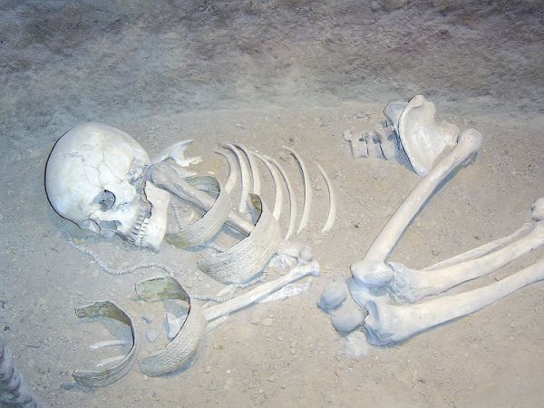 שבת חול המועד: מיהם אנשי חזון העצמות היבשות?