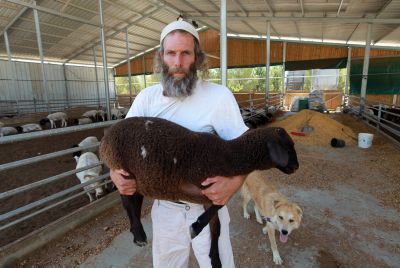 מכון המקדש מציע: בואו להשתתף בהקרבת קרבן פסח