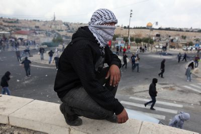 דו"ח מדאיג: עליה של כ-50% בפעילות החבלנית בהר הזיתים