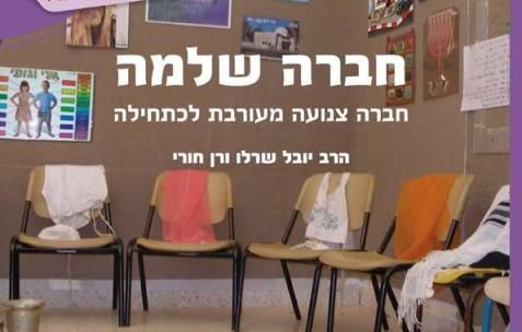 בקורת ולא זלזול, תגובה לתגובותיו של יזהר ברק