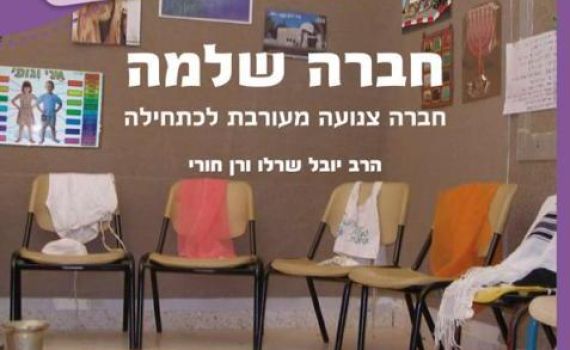 בקורת ולא זלזול, תגובה לתגובותיו של יזהר ברק