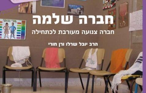 בקורת ולא זלזול, תגובה לתגובותיו של יזהר ברק