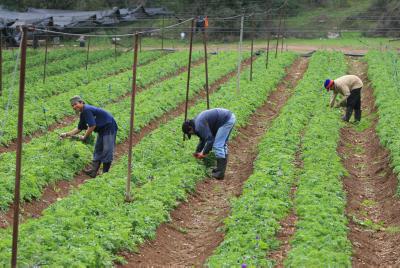 גרעיני הנח"ל של בני עקיבא חוזרים לפאלחה בקיבוצים
