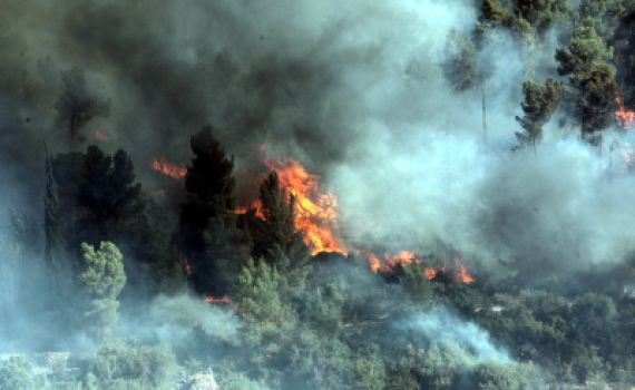 תמונות משרפת הענק שמשתוללת בפאתי ירושלים