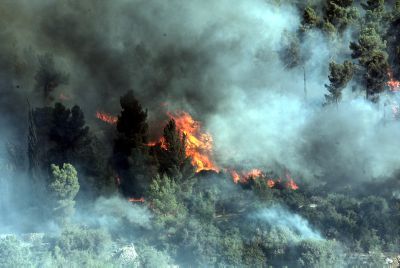 תמונות משרפת הענק שמשתוללת בפאתי ירושלים