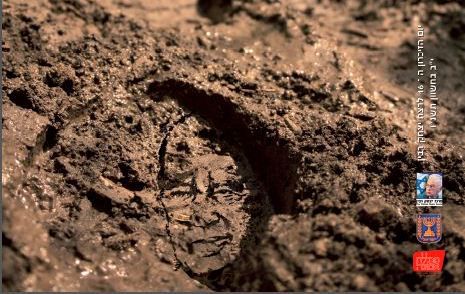 סטודנטית דתית עיצבה את כרזת יום הזיכרון ליצחק רבין