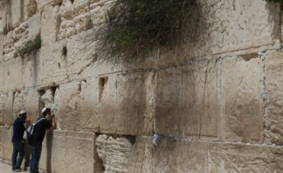 בג"ץ הכריע: לא מחלקים כיבוד ברחבת הכותל המערבי