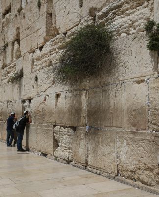 בג"ץ הכריע: לא מחלקים כיבוד ברחבת הכותל המערבי