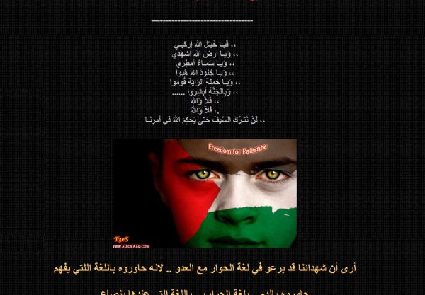 בלי אהבה ואמונה: האקרים פלסטינים פרצו לאתר ערוץ מאיר