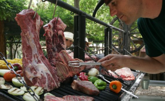 פרשת ראה: בתורת ארץ ישראל בשר זה לא רצח