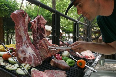 פרשת ראה: בתורת ארץ ישראל בשר זה לא רצח