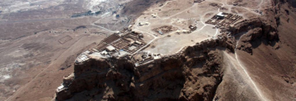 מחקר: מאיפה הגיעו העצים ששימשו למרד במצדה? - סרוגים