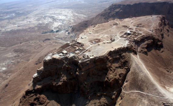 מחקר: מאיפה הגיעו העצים ששימשו למרד במצדה?